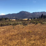 Surrounded by bushland, Shaw's Mountain and open outdoor space