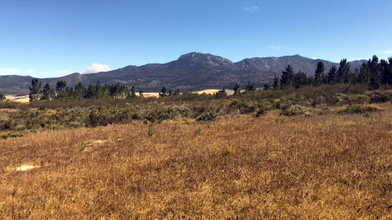 Natural Bushland Setting