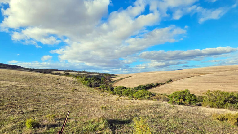 Rolling Hills