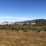 View of Shaw's Mountain Range from SwartRivierKamp