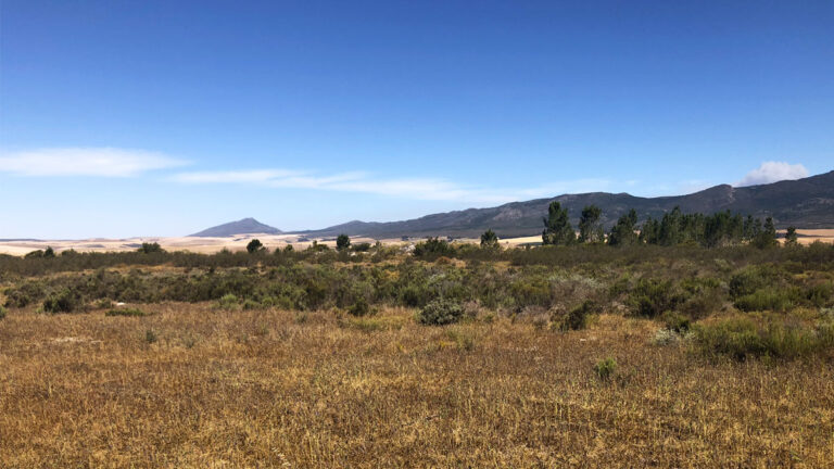 Shaws Mountain