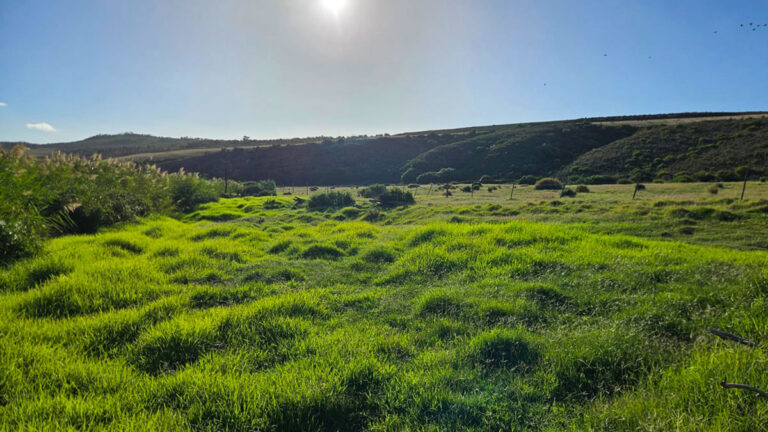 Private & Secluded Location