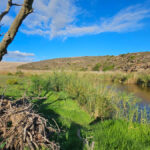 Set beside the Swartrivier with calm, natural water-side feel at SwartRivierKamp
