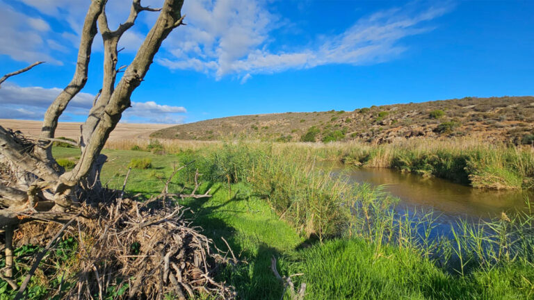 Riverside Location