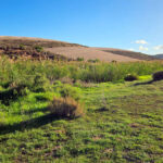 Panoramic views of river and surrounding landscape at SwartRivierKamp