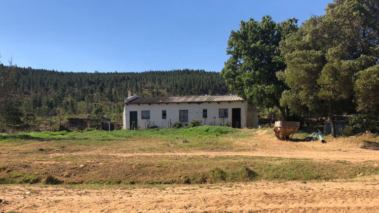 Cabin-Main